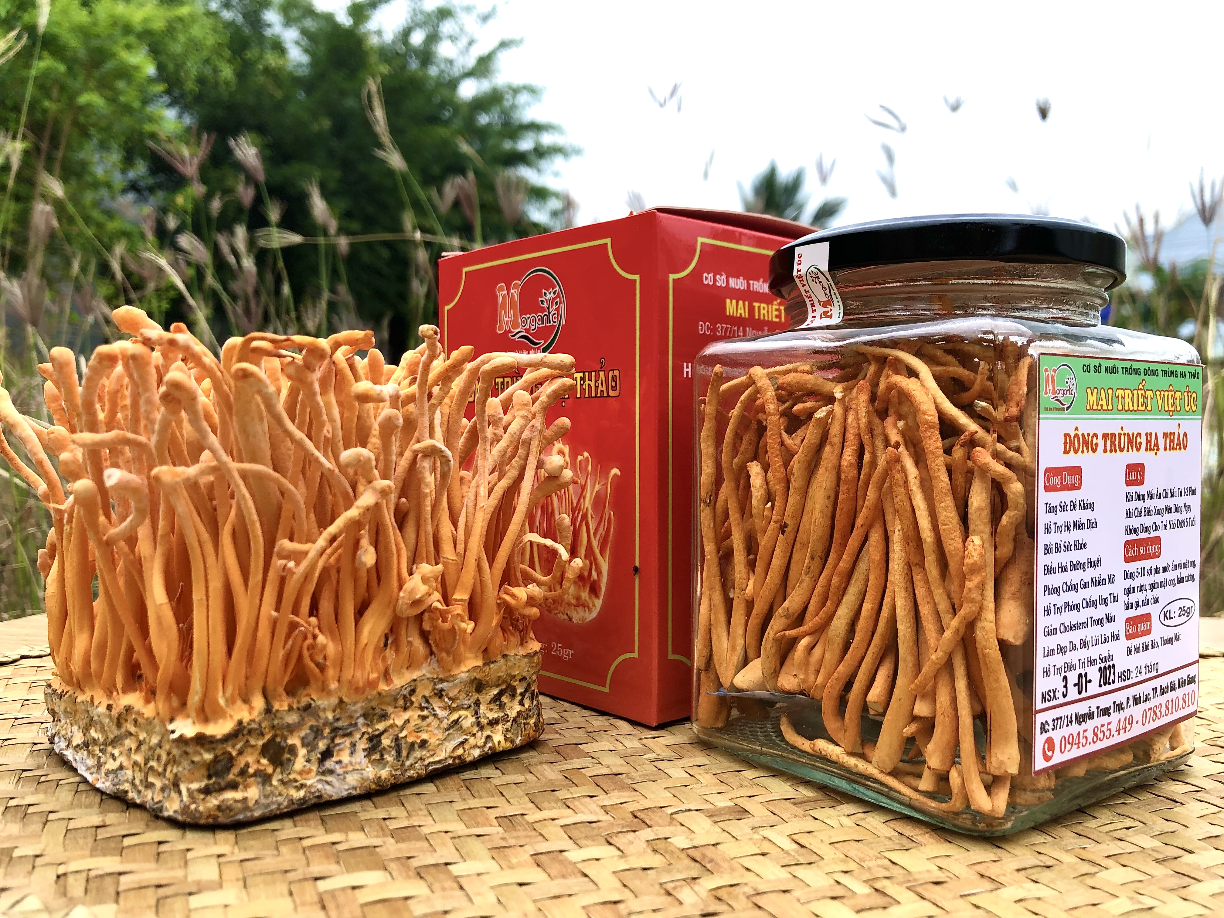 GIỚI THIỆU